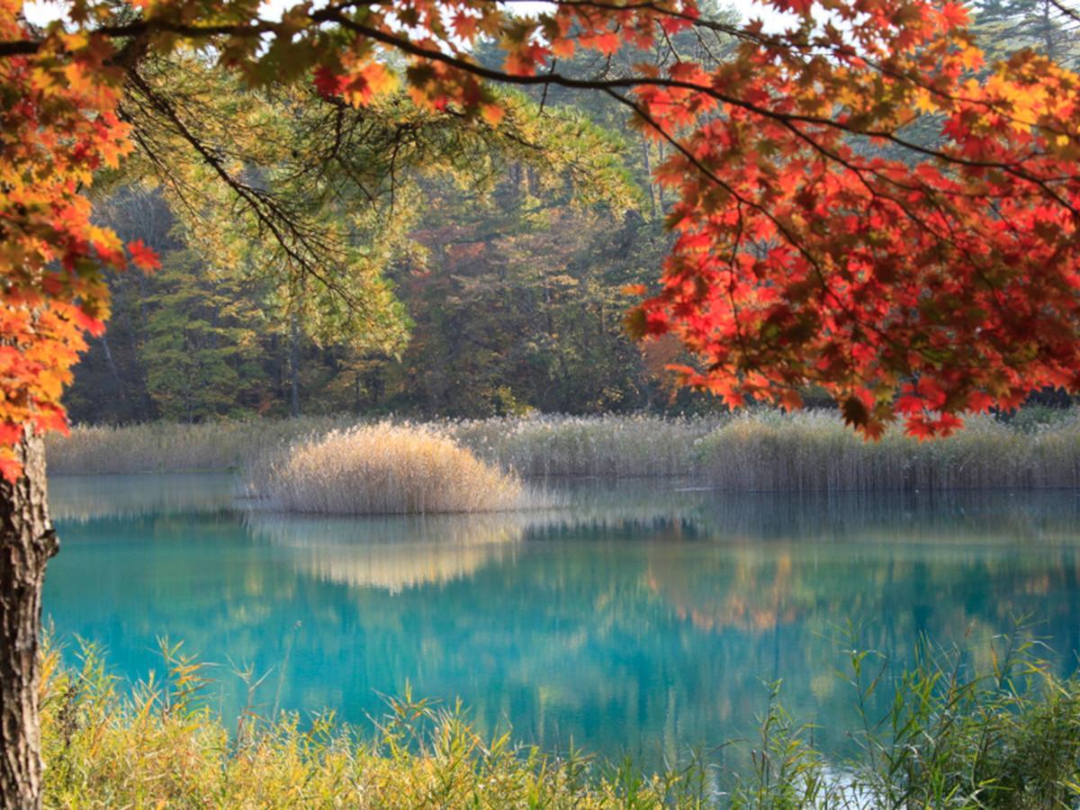 Urabandai Lake Resort Goshiki No Mori Kitashiobara Extérieur photo